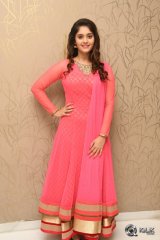 Surabhi at Gentleman Movie Success Meet